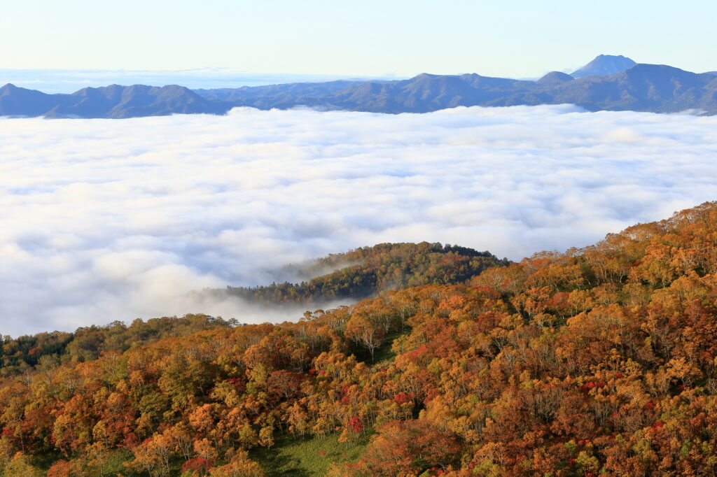 屈斜路湖の雲海と紅葉