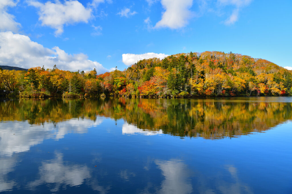 阿寒湖と雄阿寒岳の紅葉