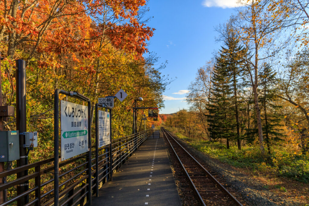 釧路湿原の紅葉