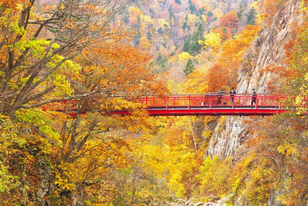 二見吊橋と紅葉