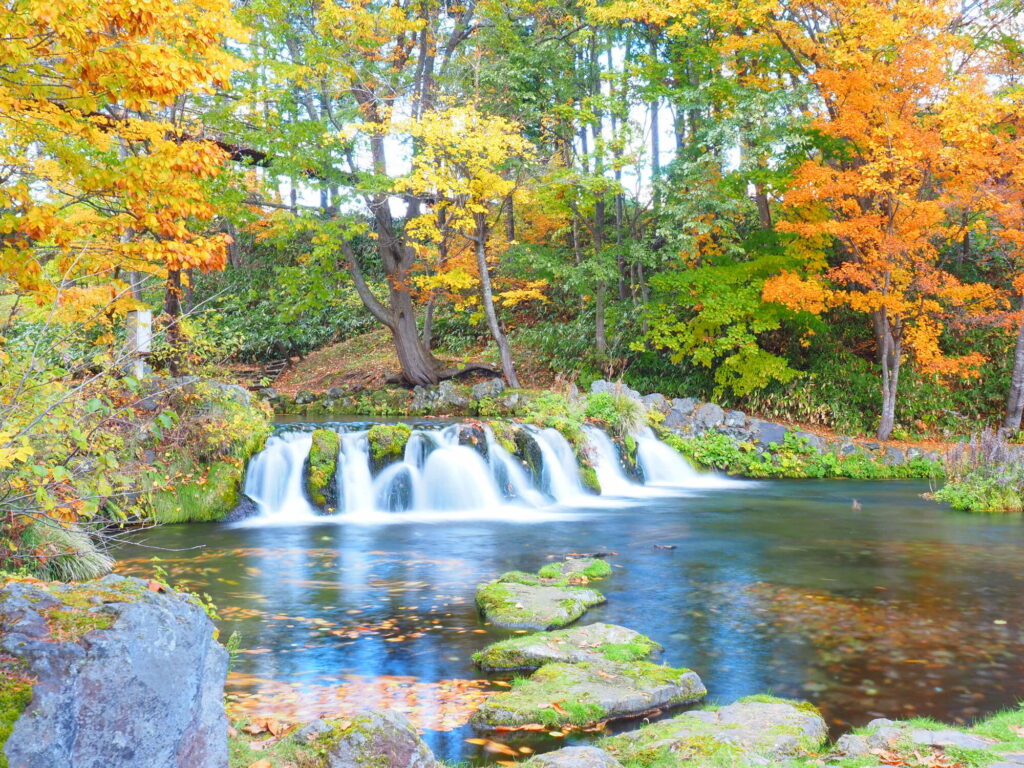 京極町ふきだし公園の紅葉