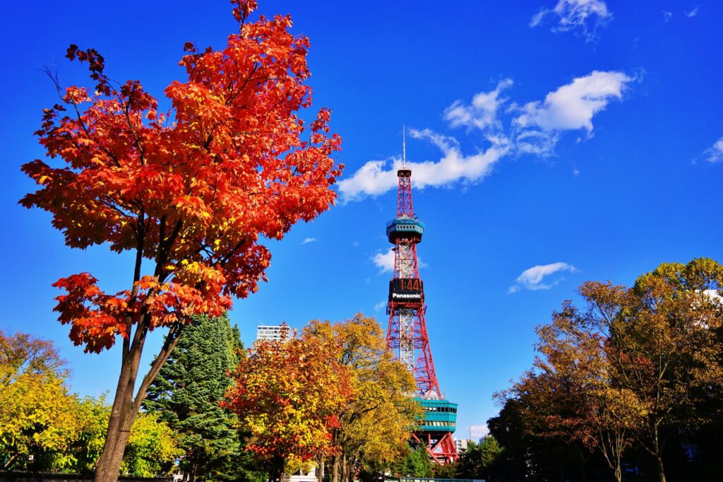 大通公園テレビ塔と紅葉