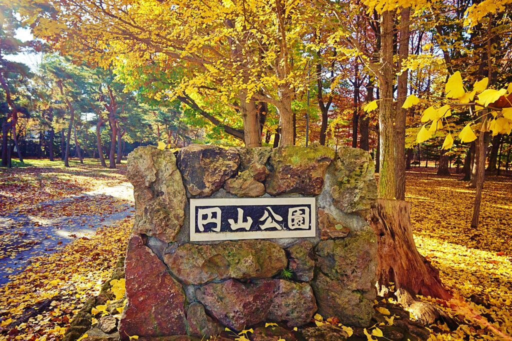 花見の名所円山公園の紅葉