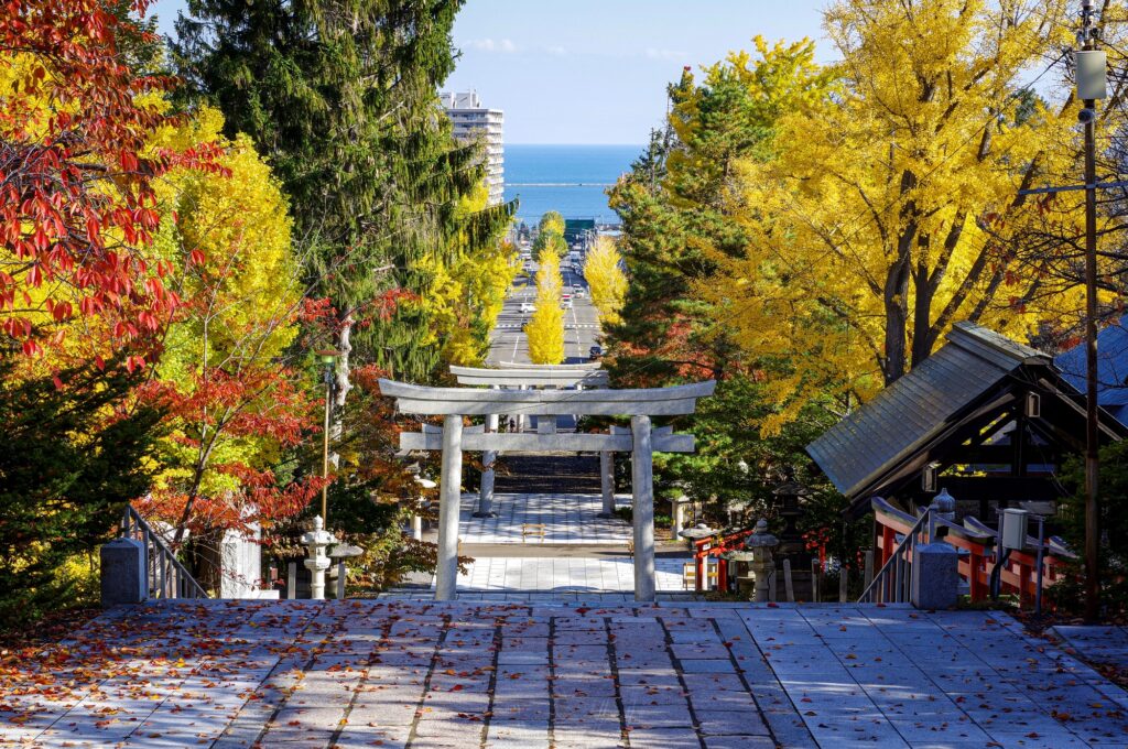 住吉神社から海にかけての紅葉の景色