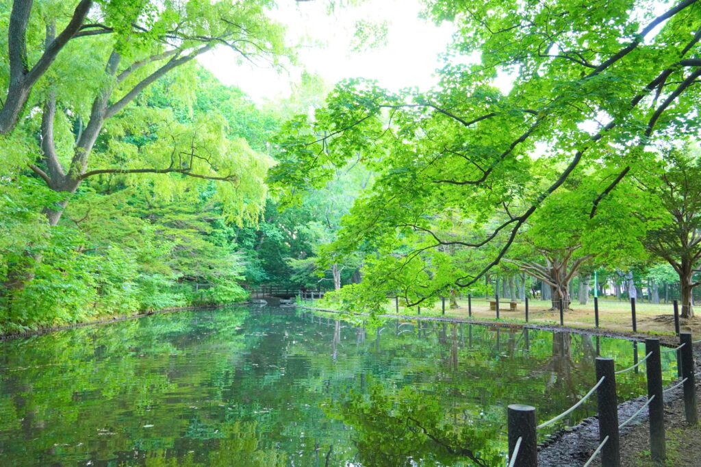 円山公園 