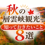 秋の層雲峡観光で知っておきたいこと8選｜紅葉・黒岳・温泉・絶景を満喫【2026年】