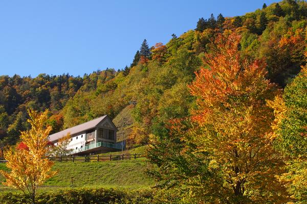 7. 定山渓ダム下流園地(札幌市南区)
