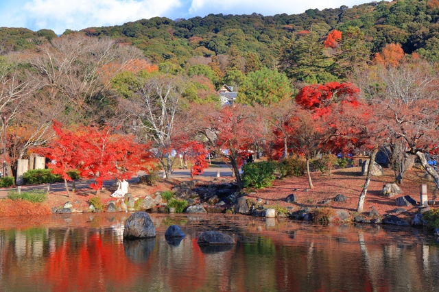 10. 円山公園(札幌市中央区)