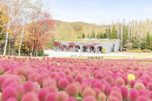 12. 国営滝野すずらん丘陵公園(札幌市南区)